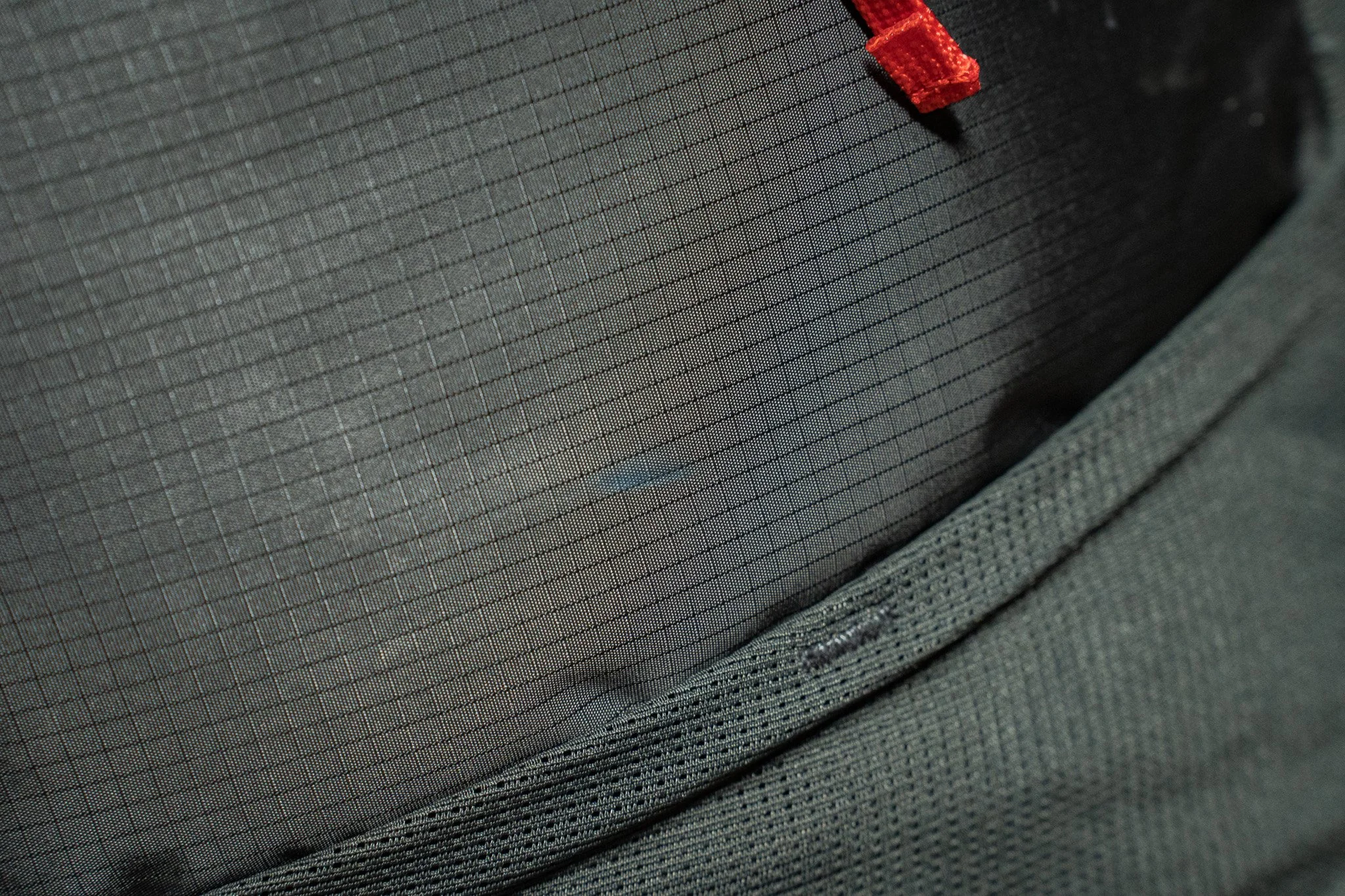 _DSC9539.jpg