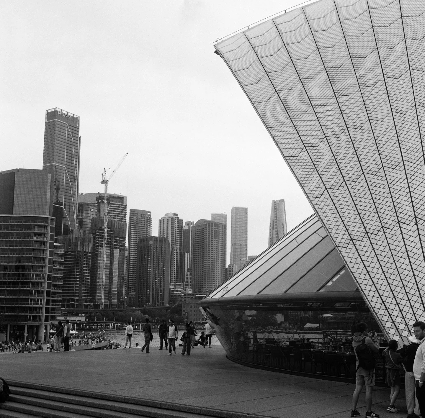 These must be some of my favourite photos of Sydney.
Probably because I shot them on a 1940s Rolleiflex, because I took my time, made sure I liked the angle, manually light-metered to expose the film correctly and waited for the moment.

It&rsquo;s c