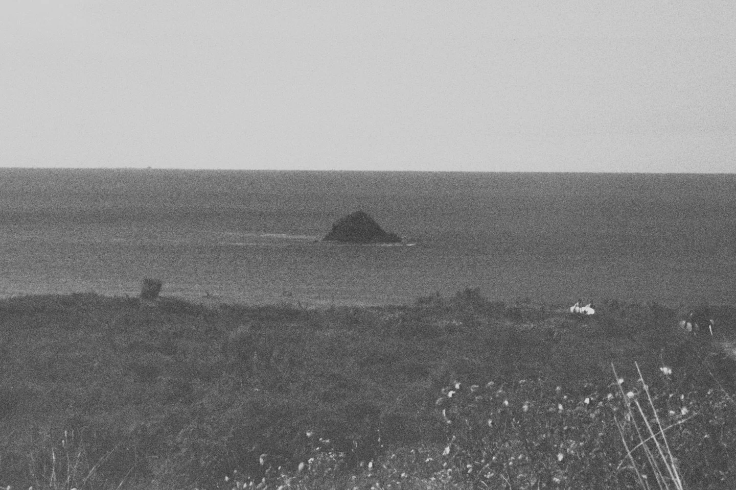 and just like that 2025 is almost over.
what a crazy year it&rsquo;s been

Bretagne - expired #35mm