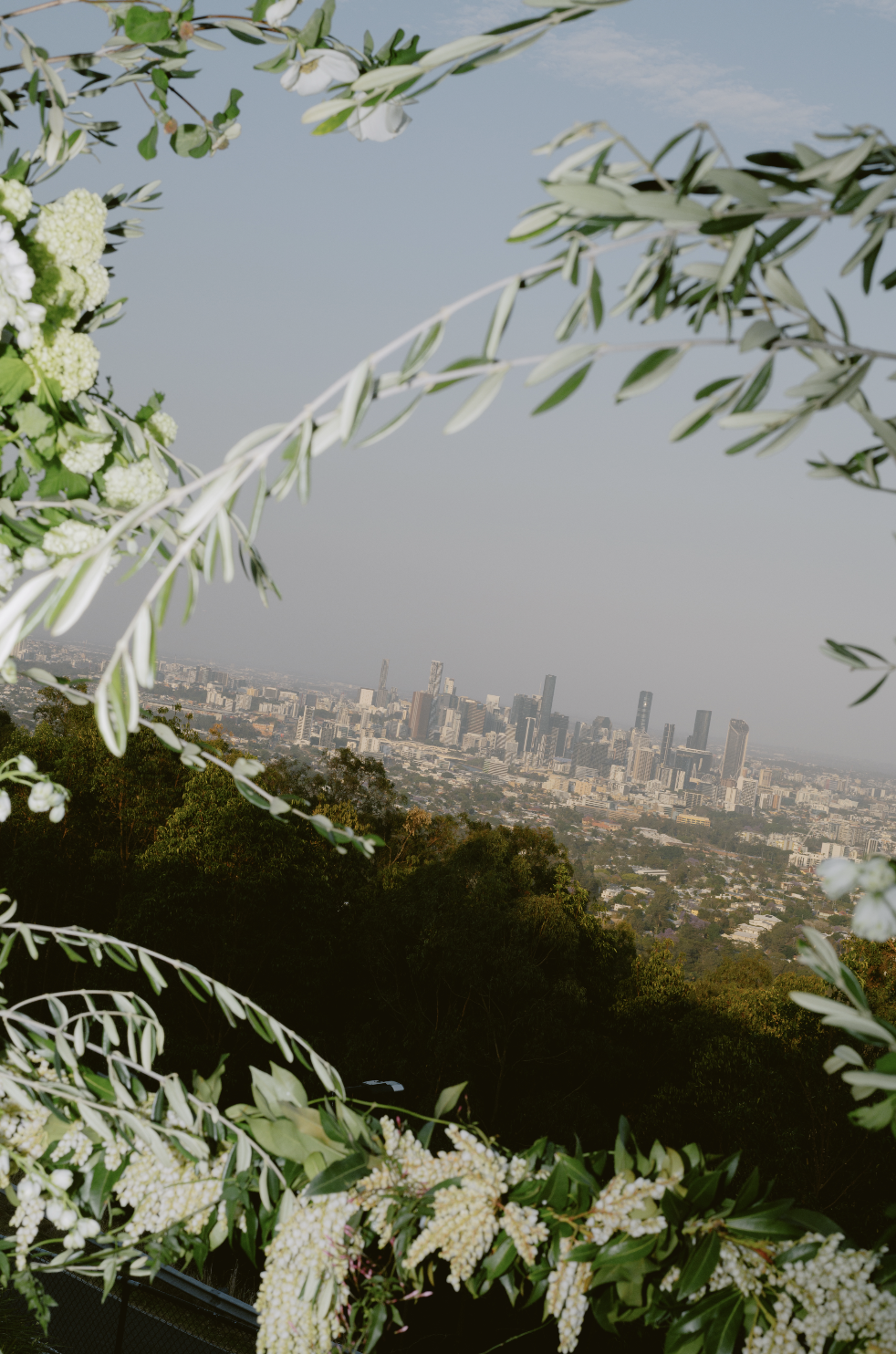 View of a city skyline from a hilltop, framed with greenery and white flowers in the foreground.