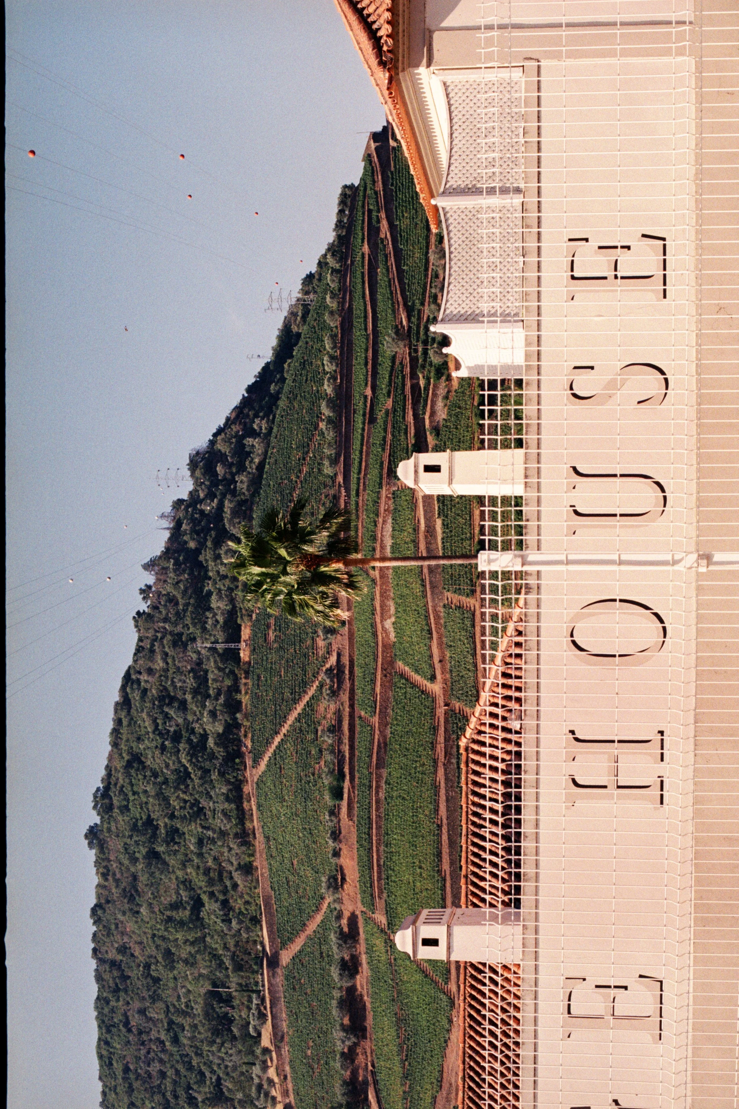 View of lush green vineyard hills with trees and pathways, viewed from a balcony with a white railing and a large house with tile roof in the foreground, under a clear sky.