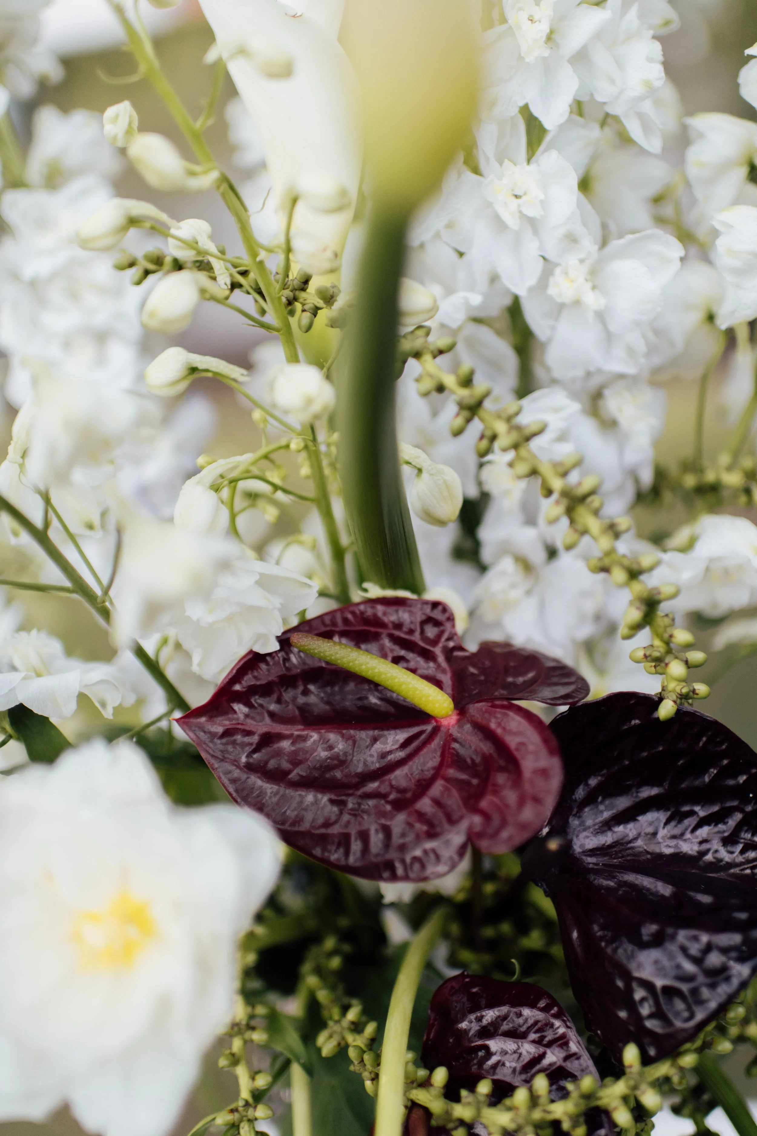 A close-up of a floral arrangement featuring white and dark red/purple flowers and green leaves.