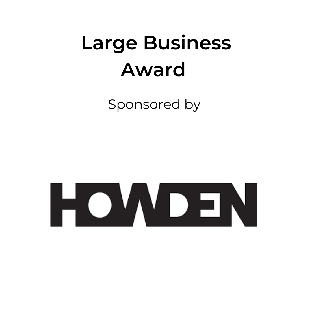 Large Business Award