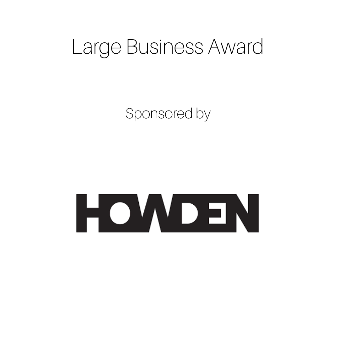 Large Business Award
