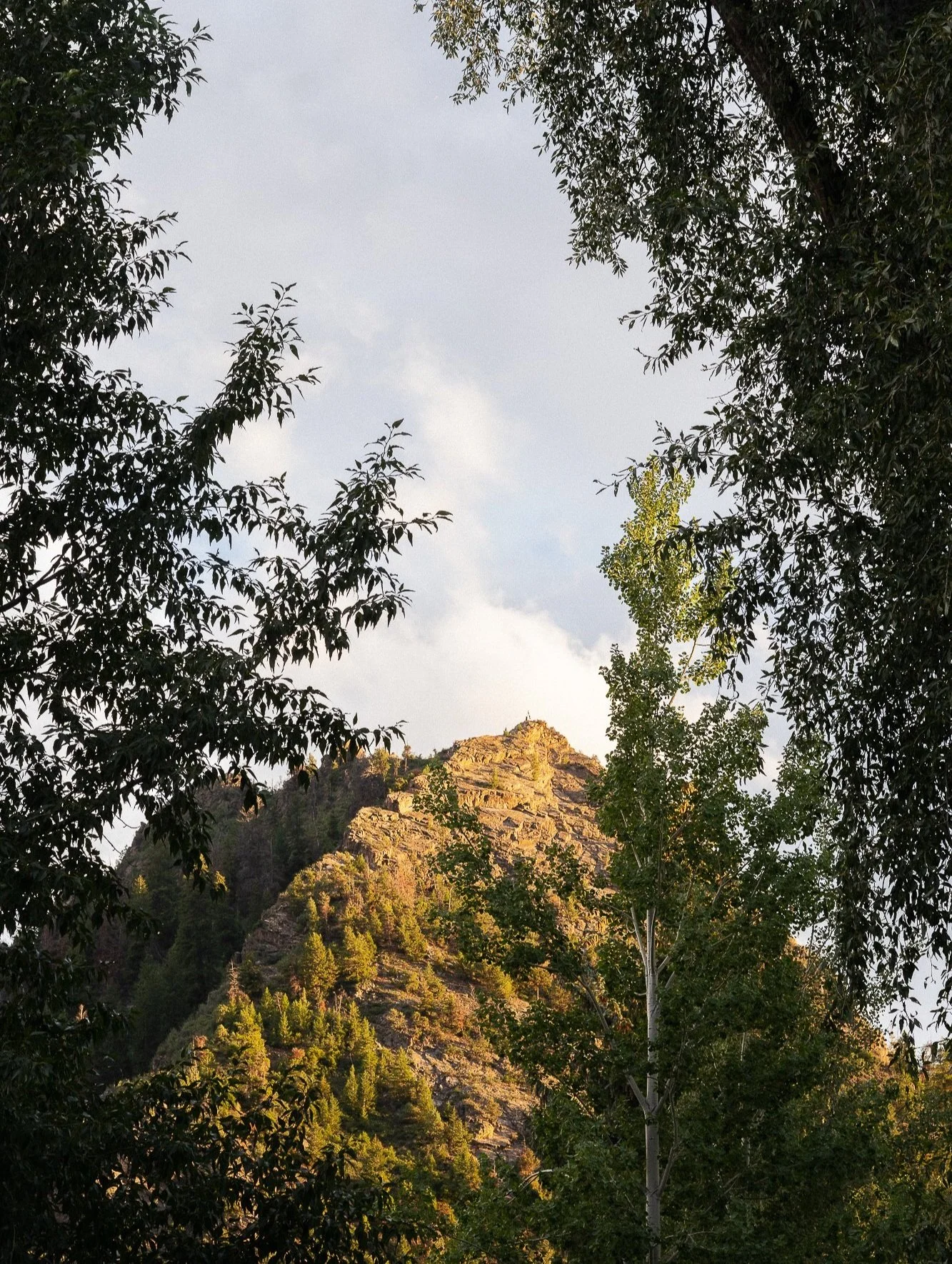 A mountain landscape framed by trees, with a rocky mountain peak illuminated by sunlight in the background.