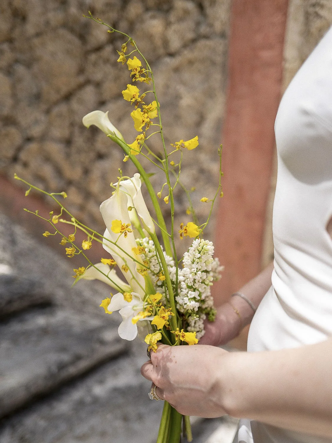 vizcaya_wedding_photographer_0254.JPG