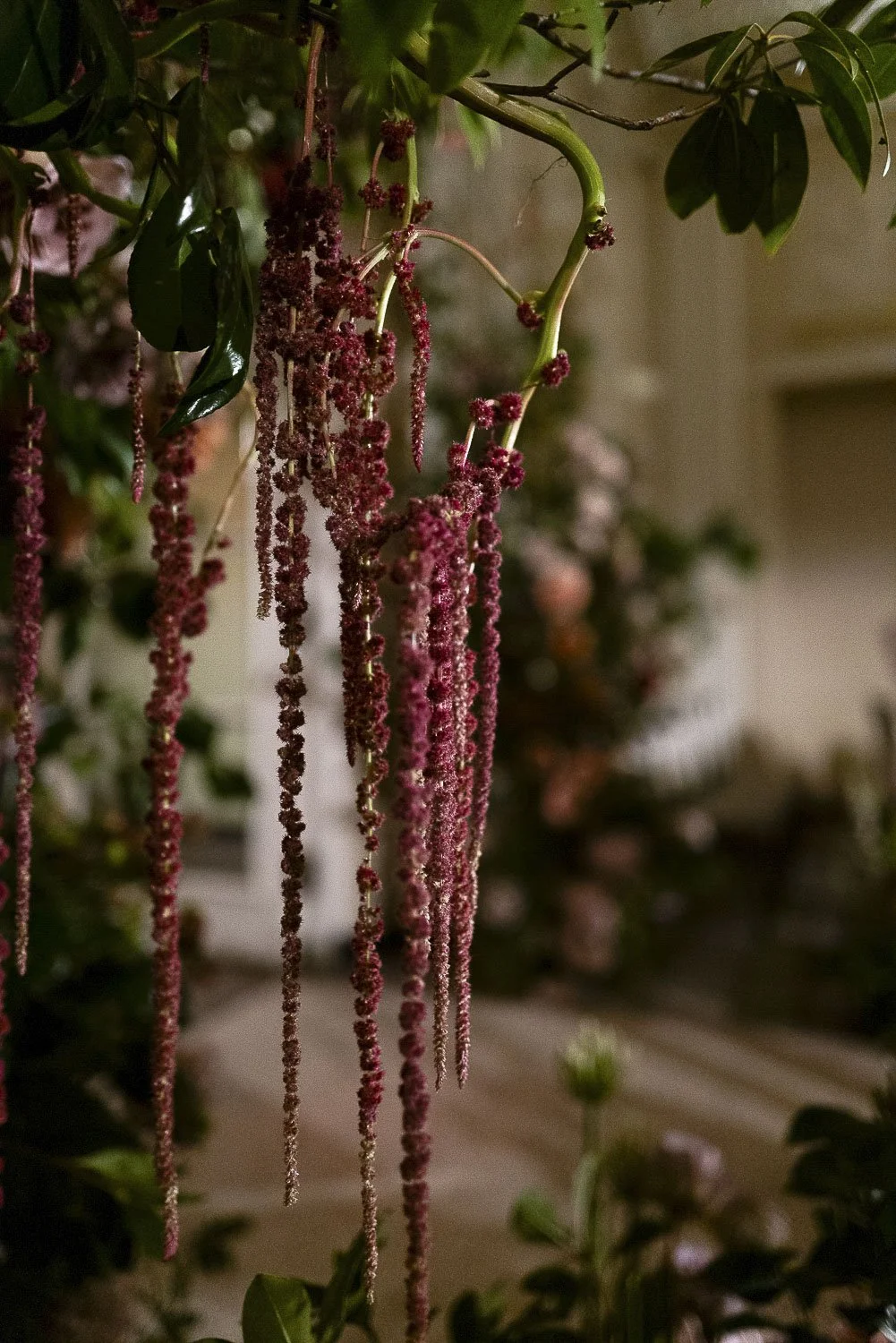 waldorf_astoria_nyc _event_photographer_03482.JPG