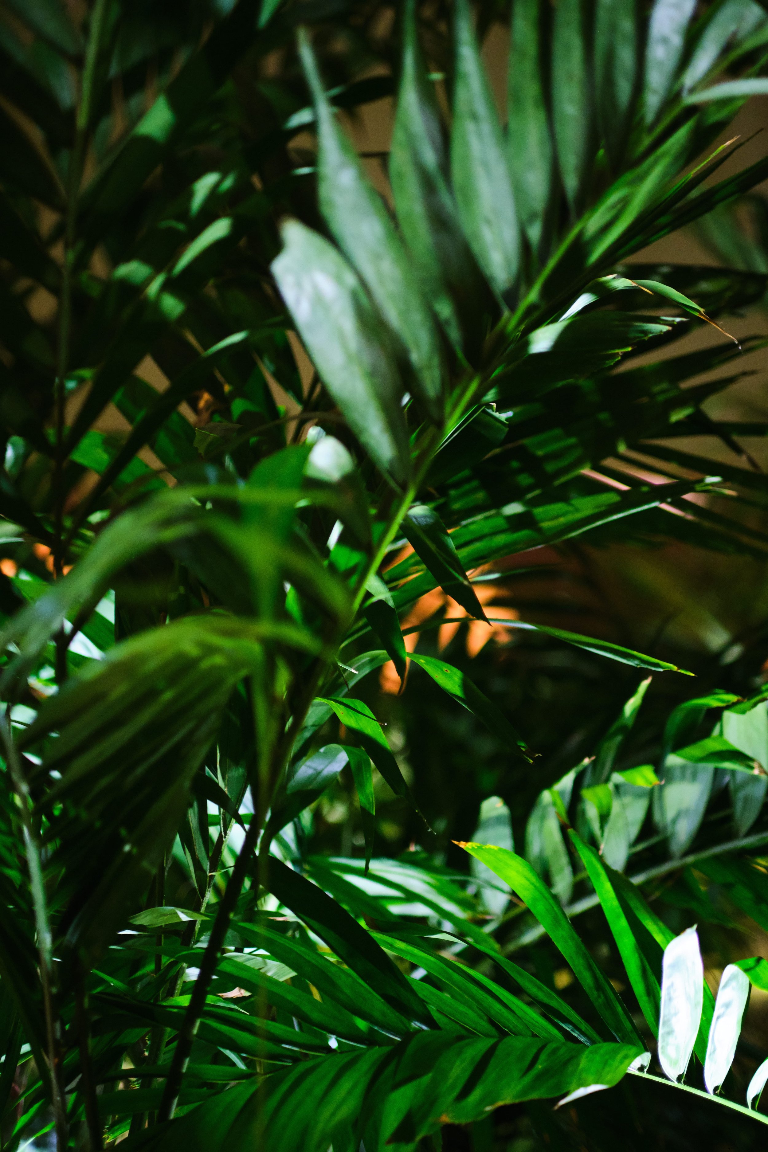miami_edition_hotel_wedding_photographer_0205.jpg