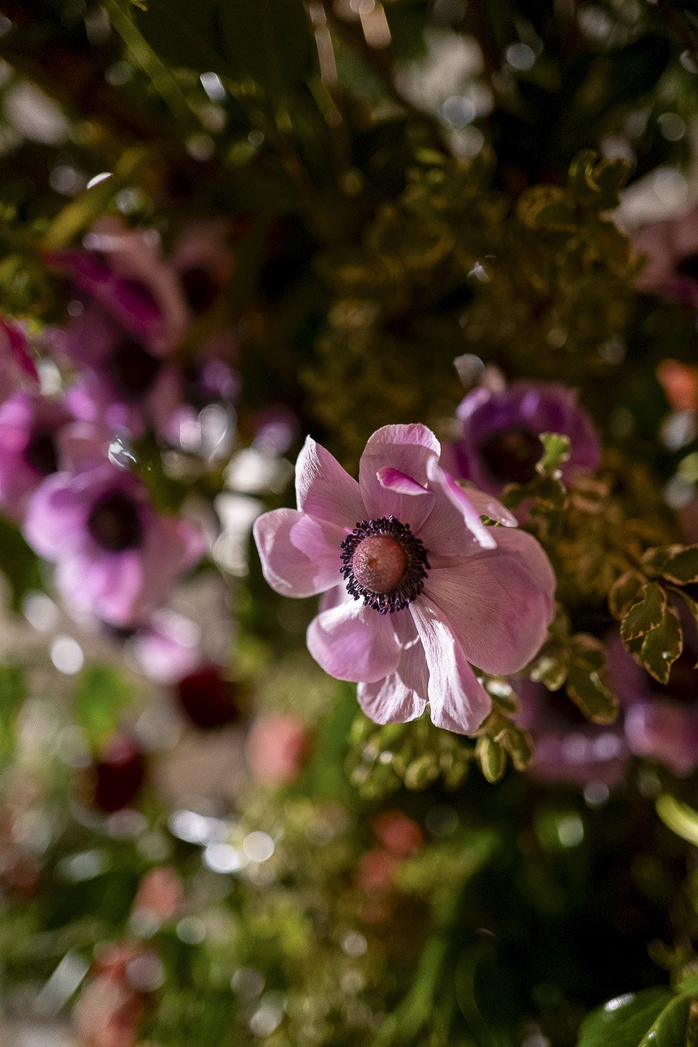 waldorf_astoria_nyc _event_photographer_03479.JPG