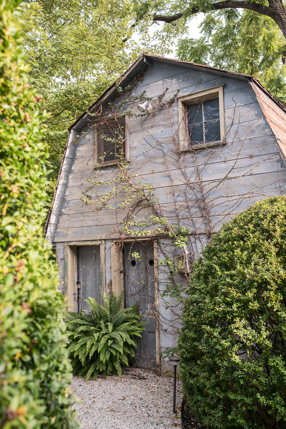An old, weathered house with peeling paint and overgrown vines, surrounded by green bushes and trees.