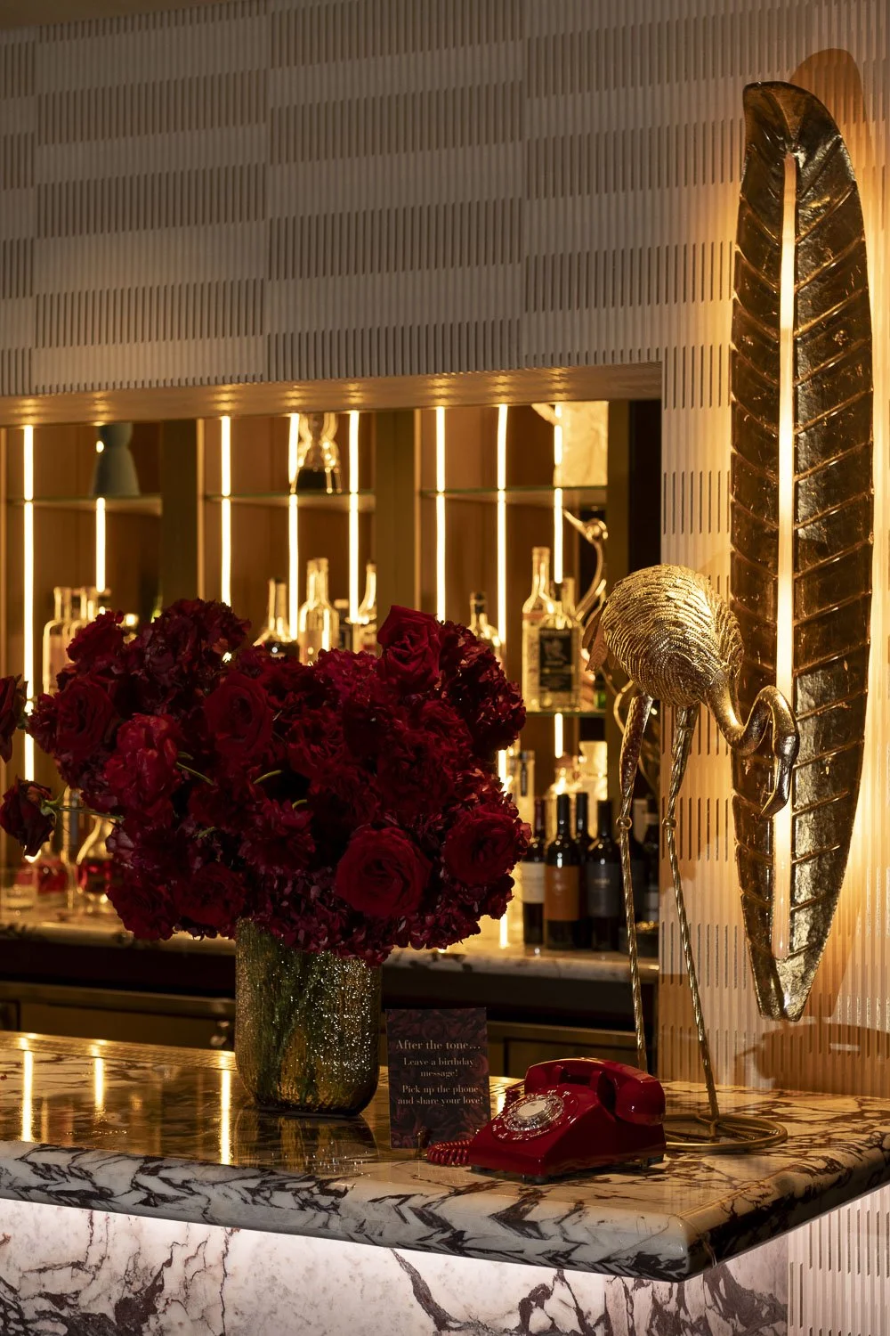 queen_miami_beach_event_photographer_03505.JPG