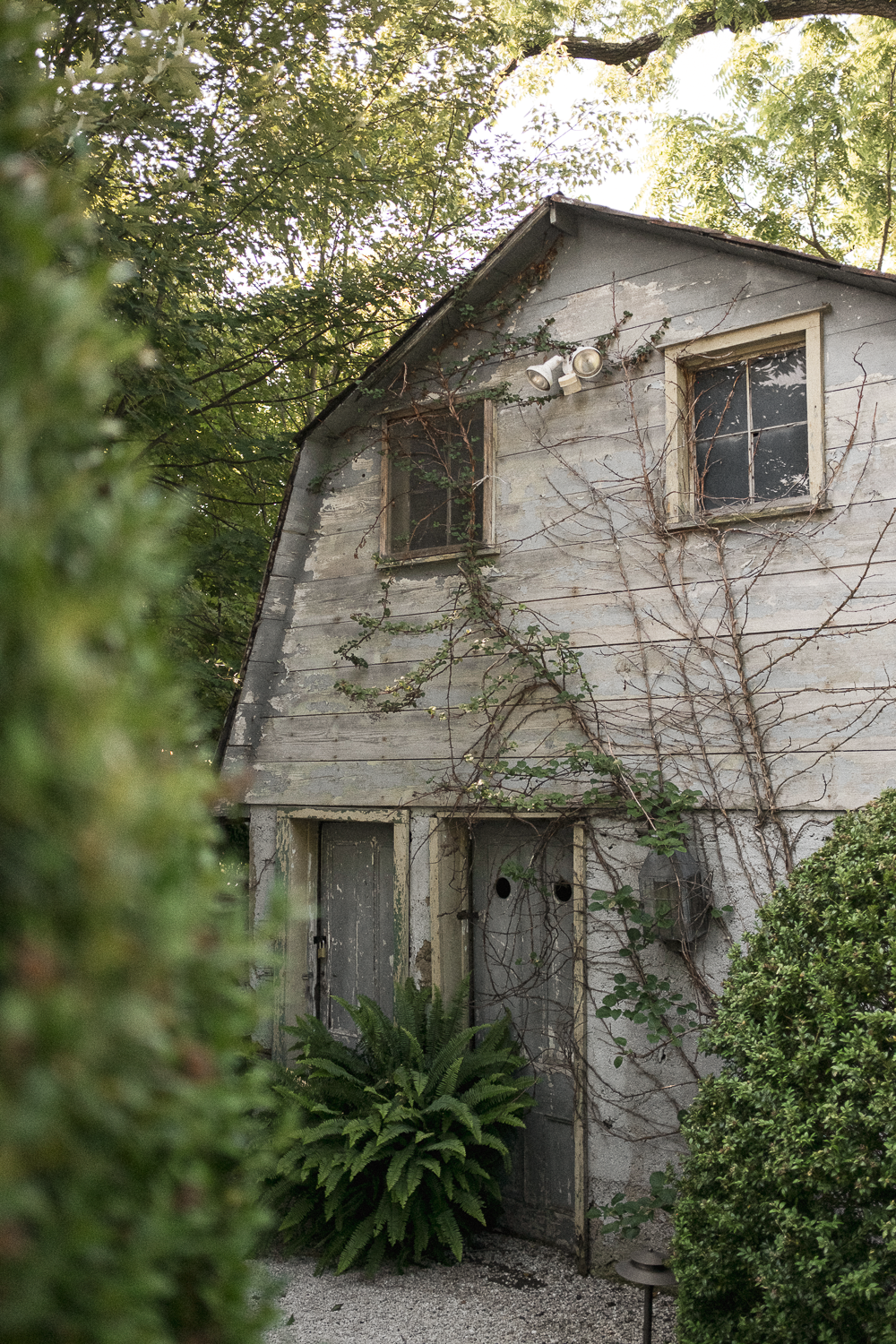 An old, weathered wooden house with peeling paint, surrounded by overgrown plants and vines, and two small windows on the upper level.