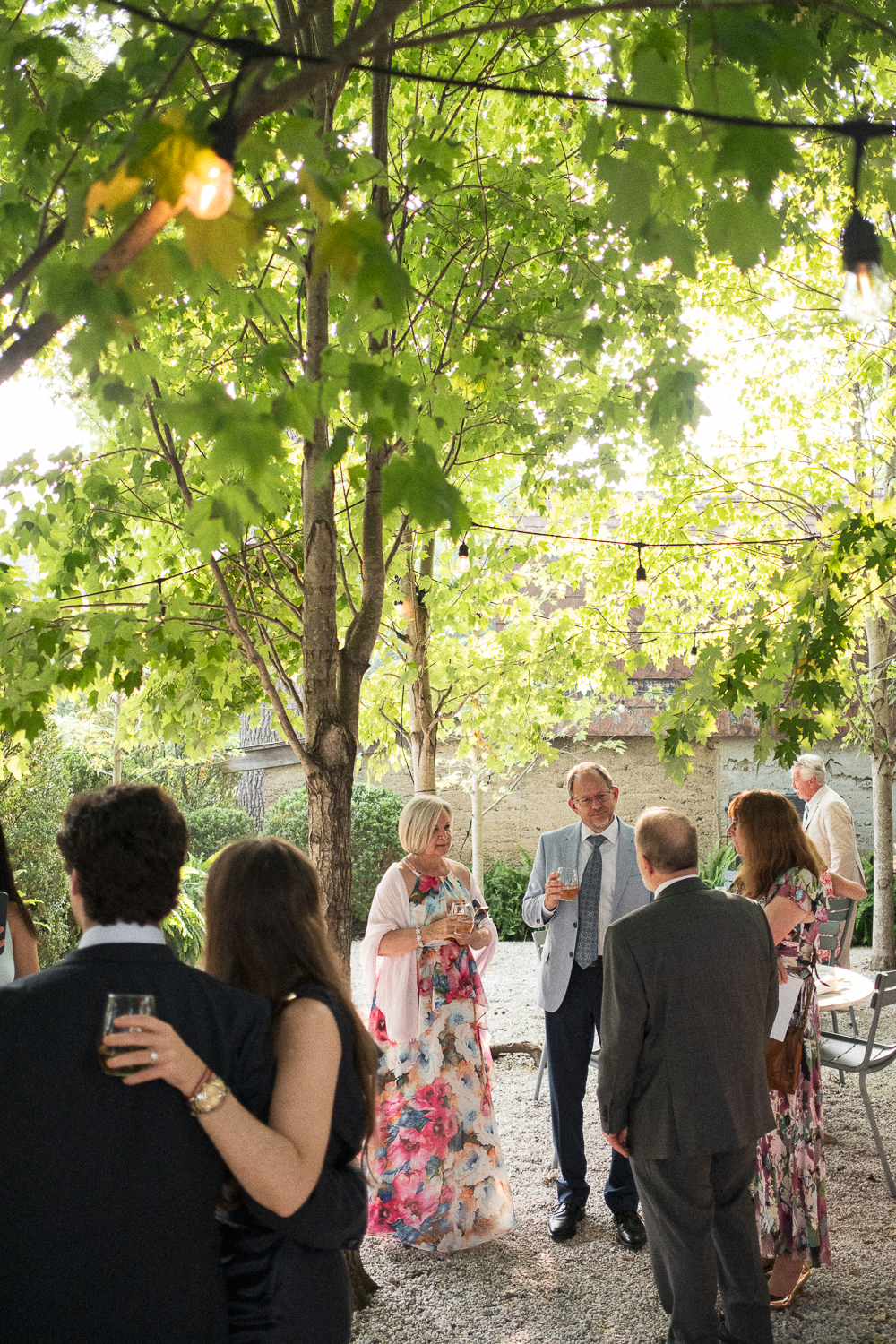 Group of people socializing outdoors under a large tree with string lights, some holding drinks, during daylight.