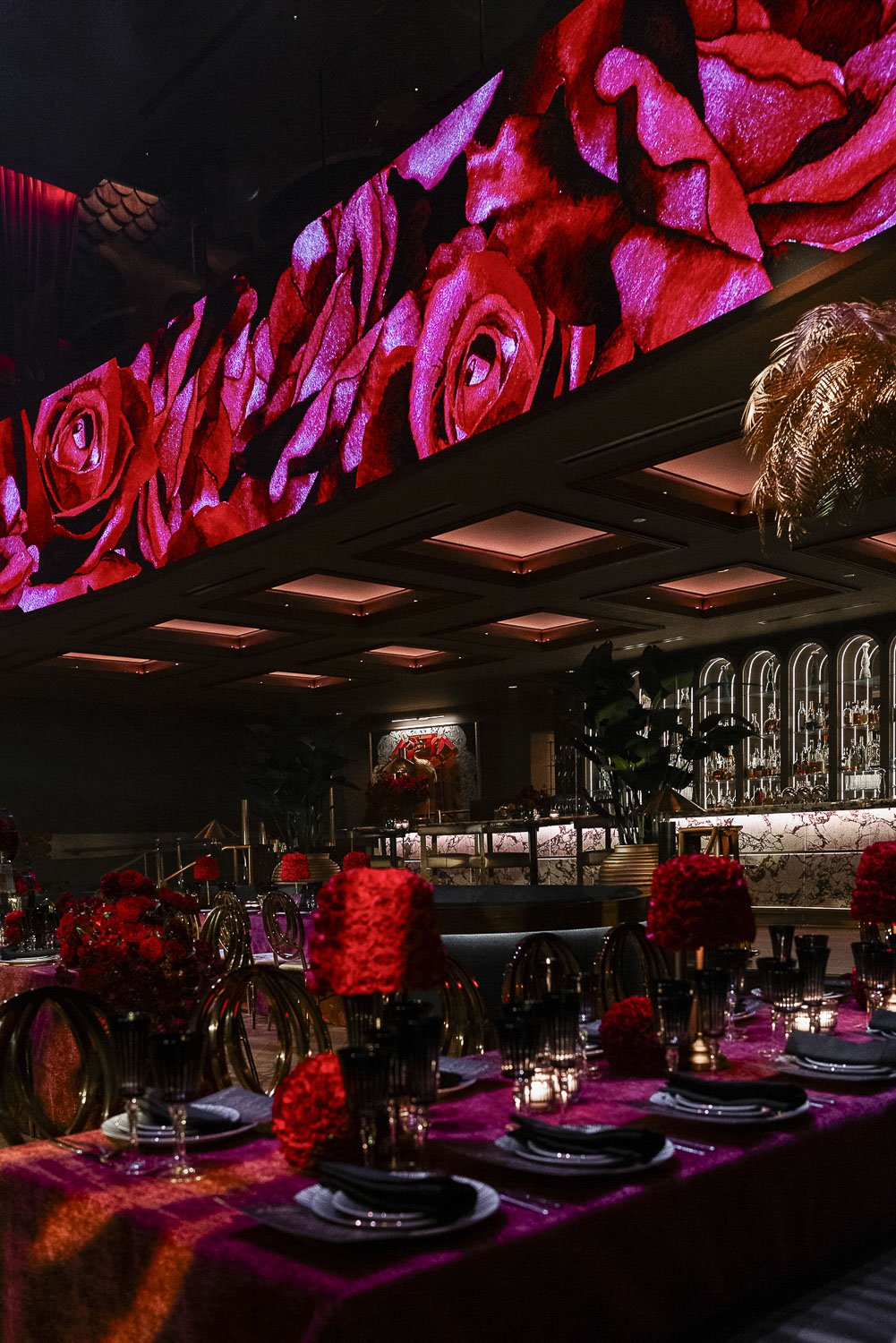 queen_miami_beach_event_photographer_03520.JPG