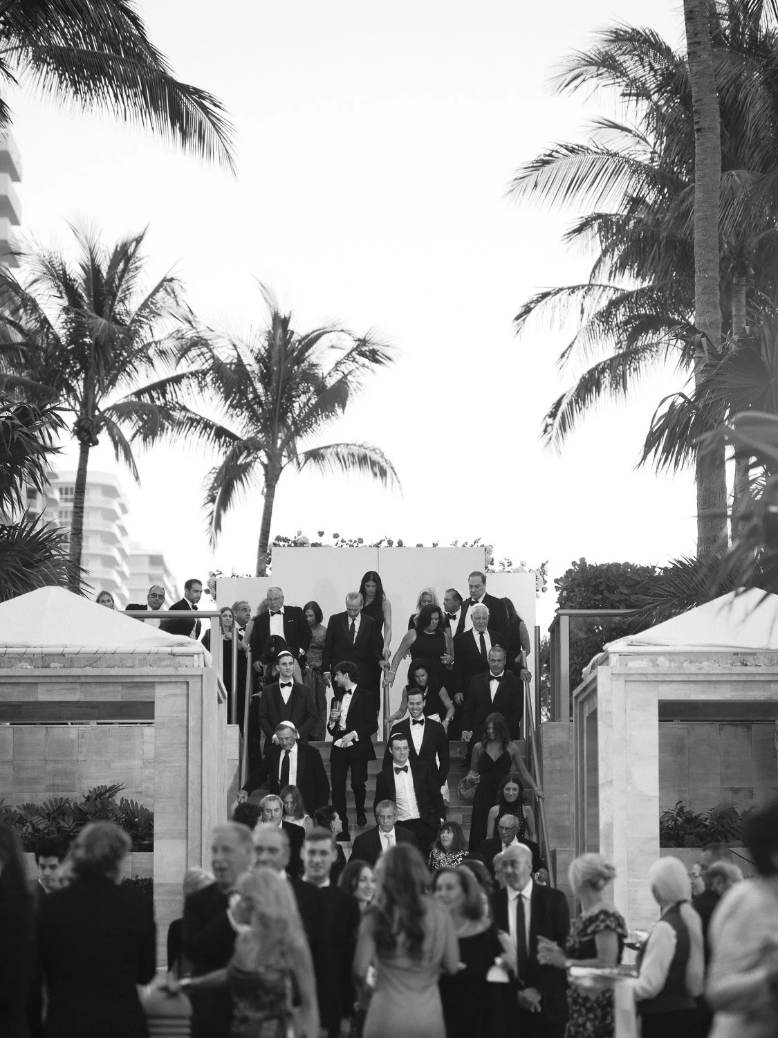 Group of people dressed in formal attire descending a staircase outdoors, with tall palm trees in the background.