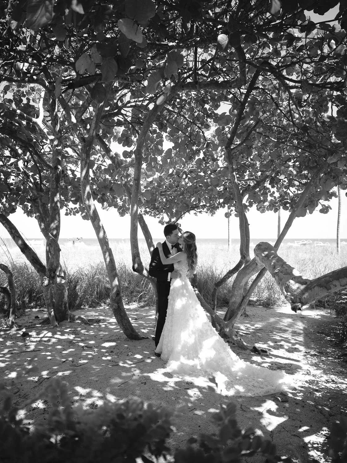 A black and white photo of a bride and groom kissing under a large tree on a beach.
