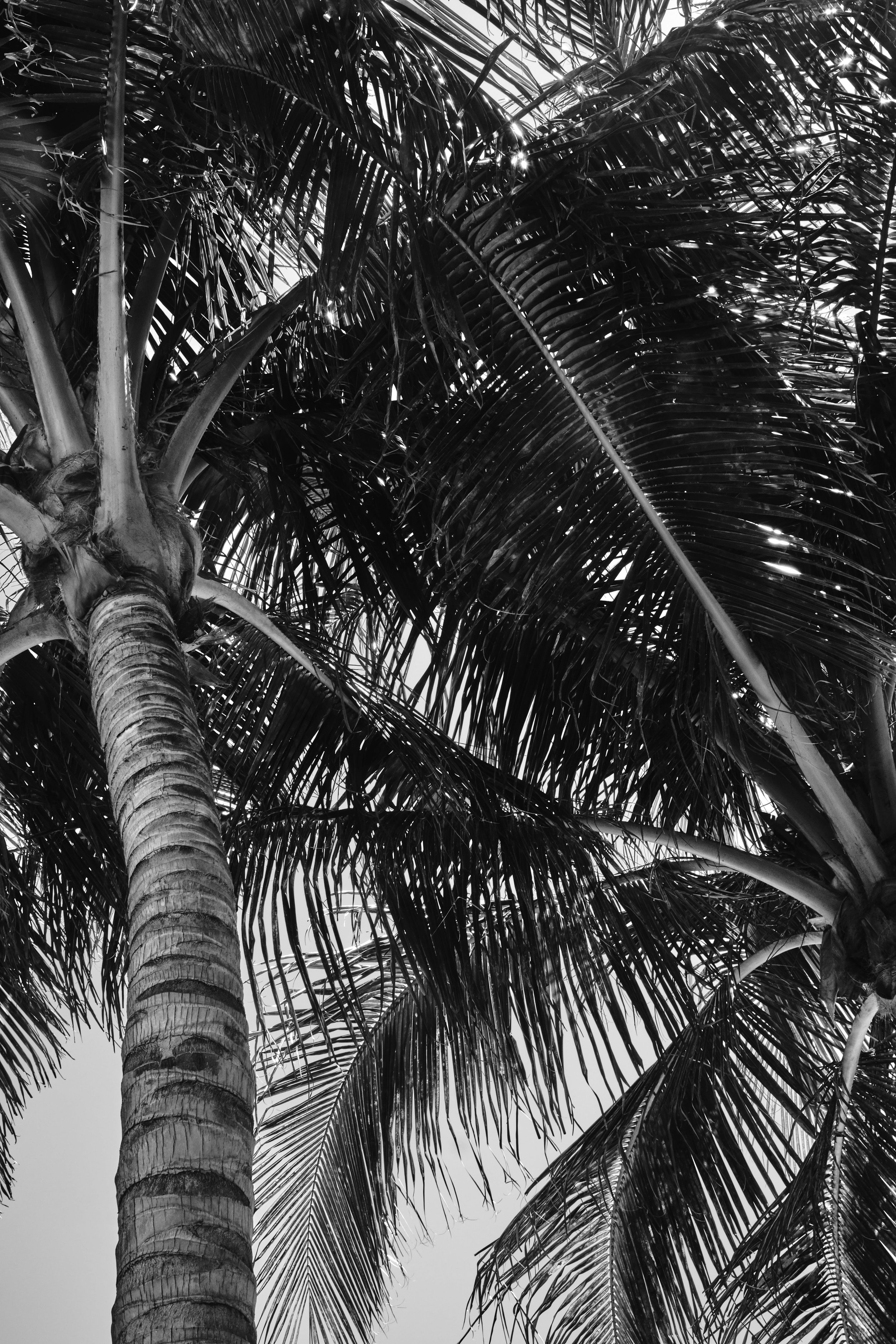 miami_edition_hotel_wedding_photographer_0196.jpg