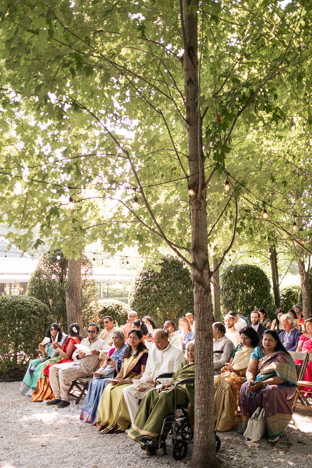 A diverse group of people seated outdoors under large trees, attending an event on a sunny day, with string lights hanging above.