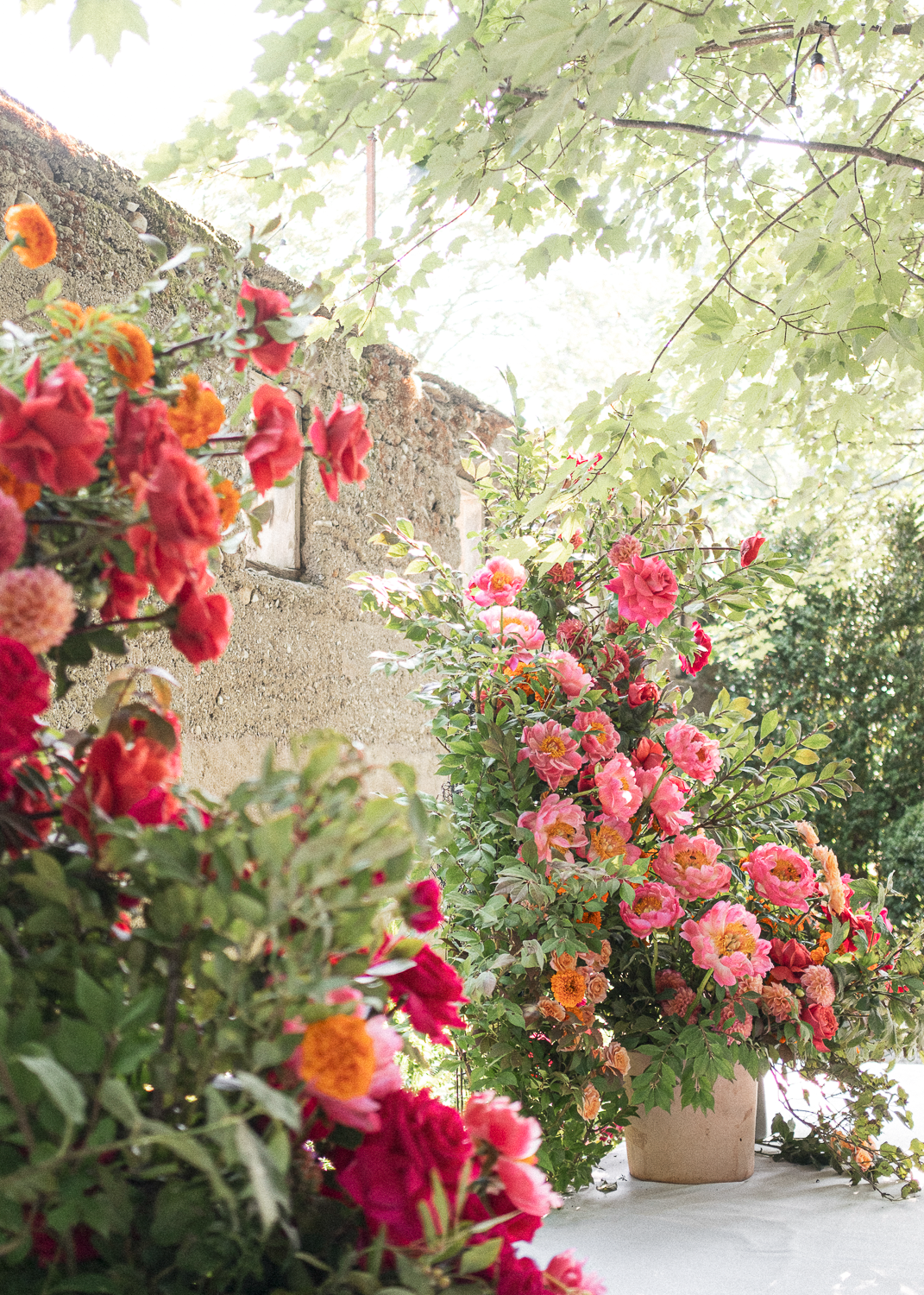 Vase with pink and orange blooming flowers set outdoors under a canopy of green leaves with sunlight filtering through.