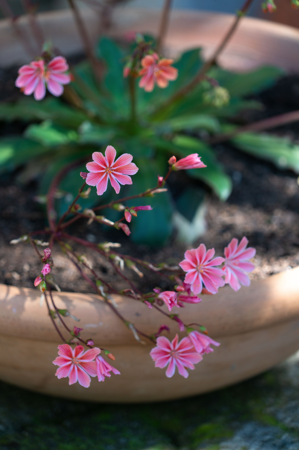 Capture d’écran 2024-04-23 à 11.10.22.png