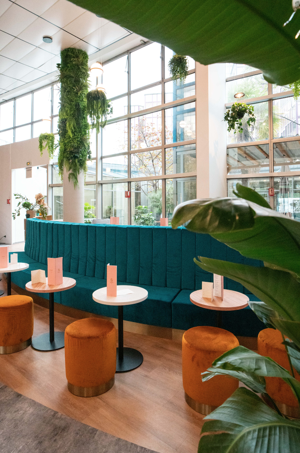 Capture d’écran 2024-02-26 à 10.27.14.png