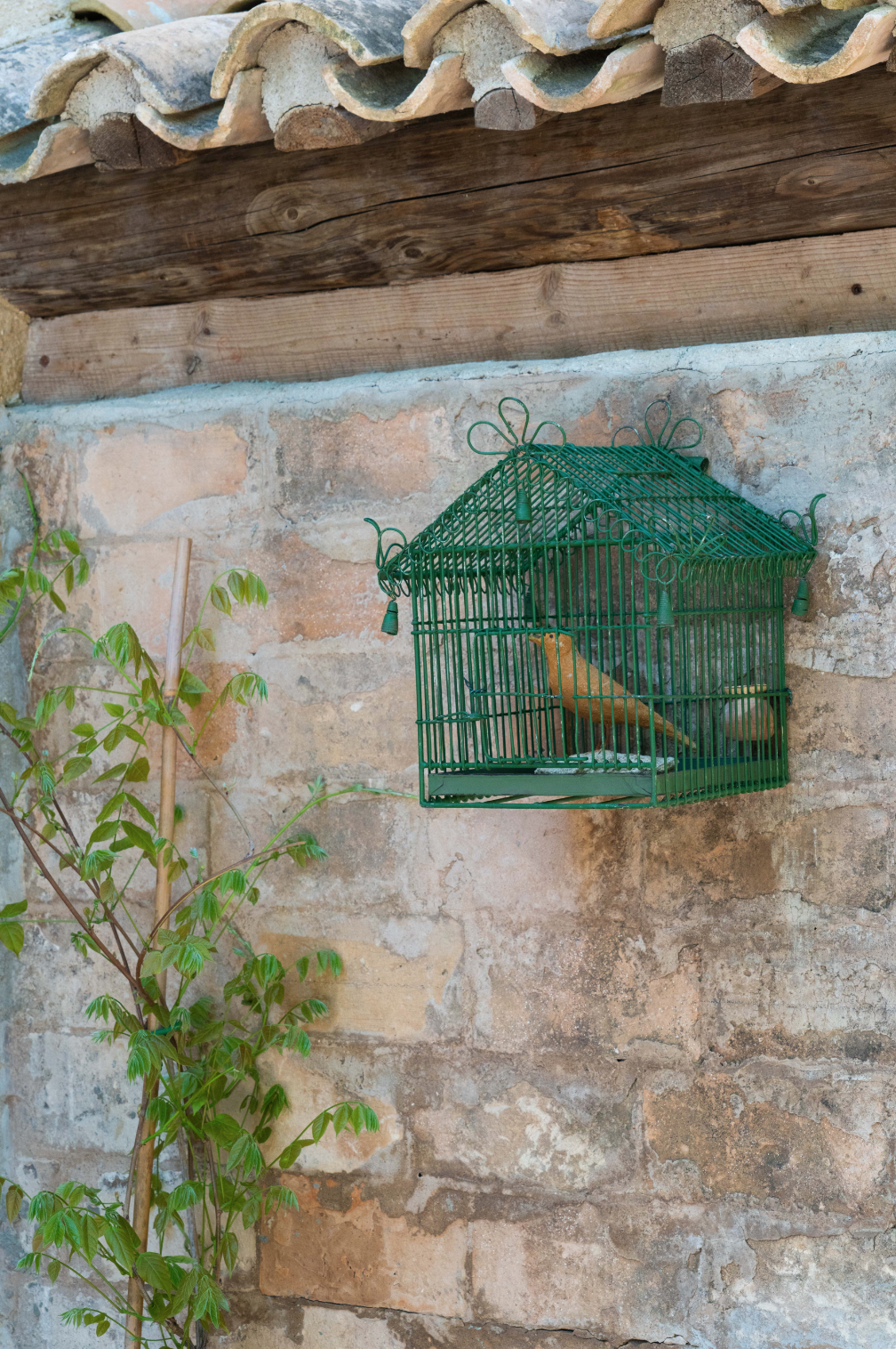 Capture d’écran 2024-04-23 à 11.15.03.png