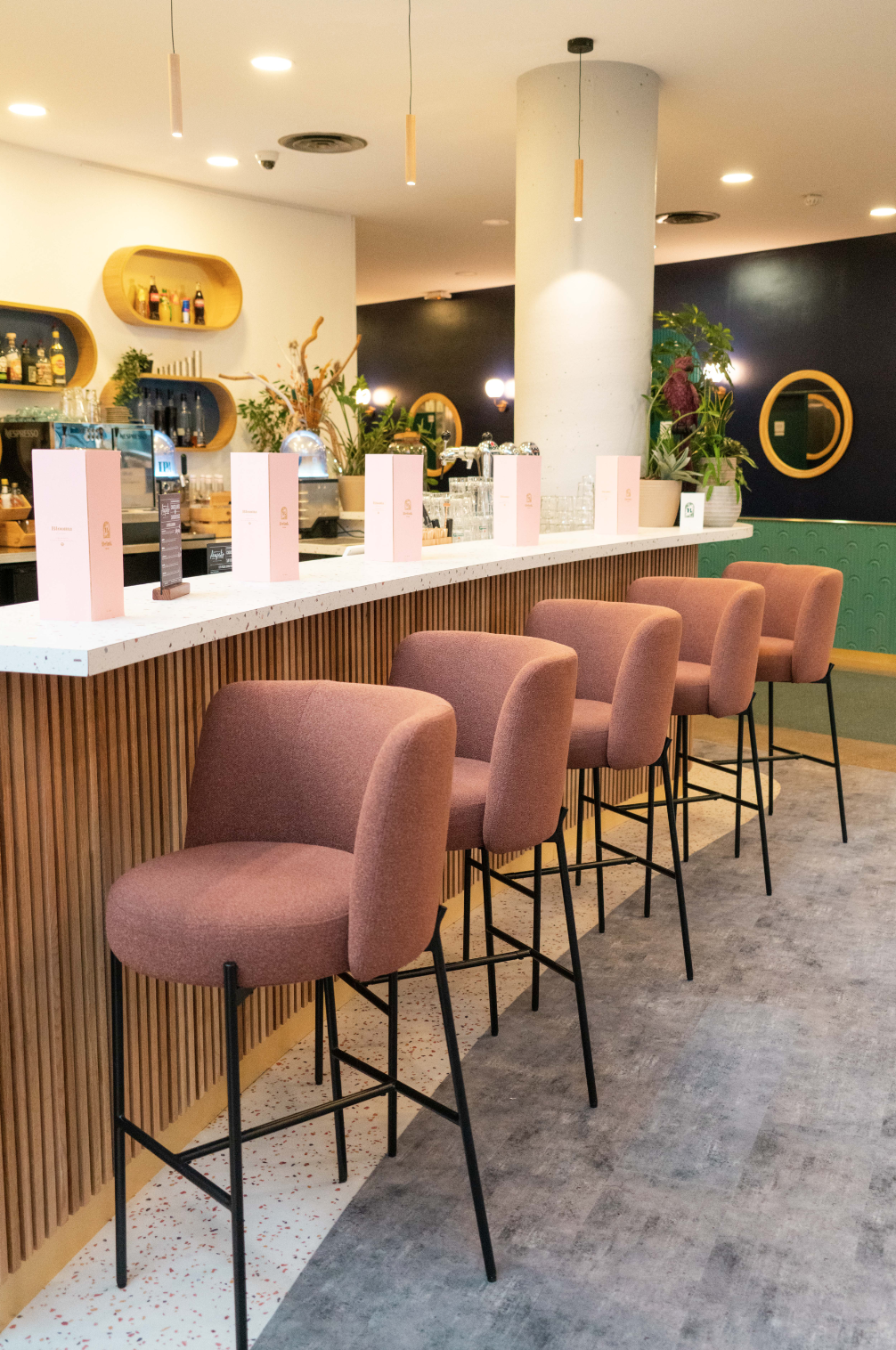 Capture d’écran 2024-02-26 à 10.32.21.png