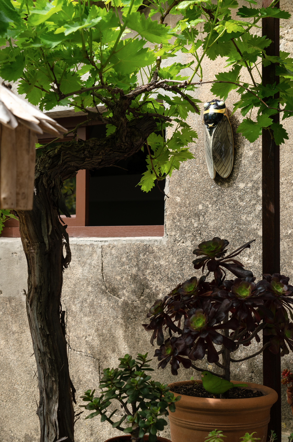 Capture d’écran 2024-04-23 à 11.28.25.png