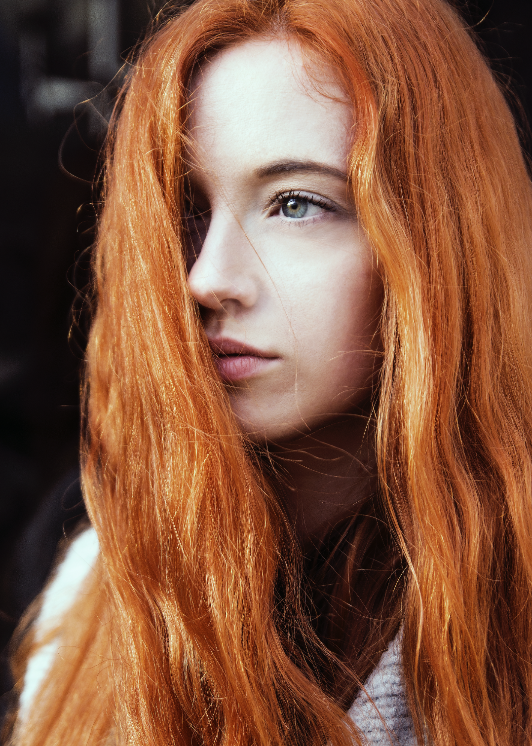 Capture d’écran 2024-07-31 à 09.46.39.png