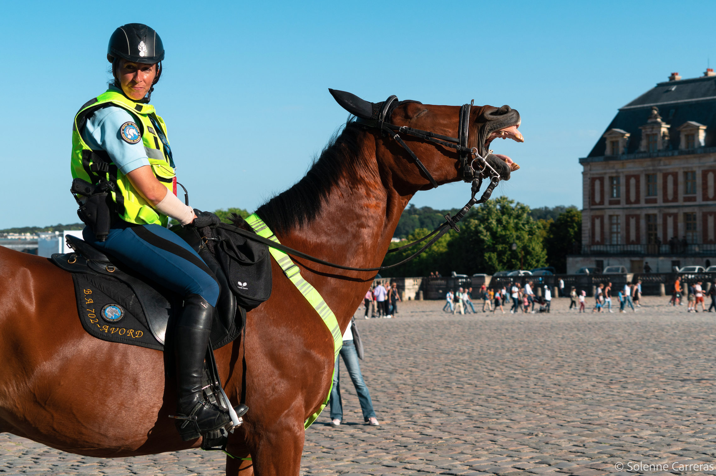 Capture d’écran 2024-06-30 à 13.01.48.png