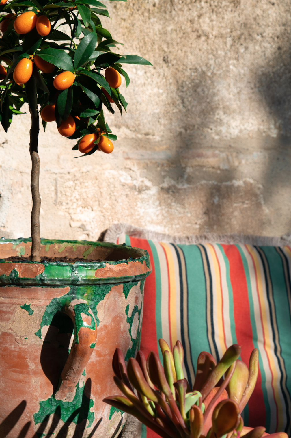 Capture d’écran 2024-04-23 à 11.11.10.png