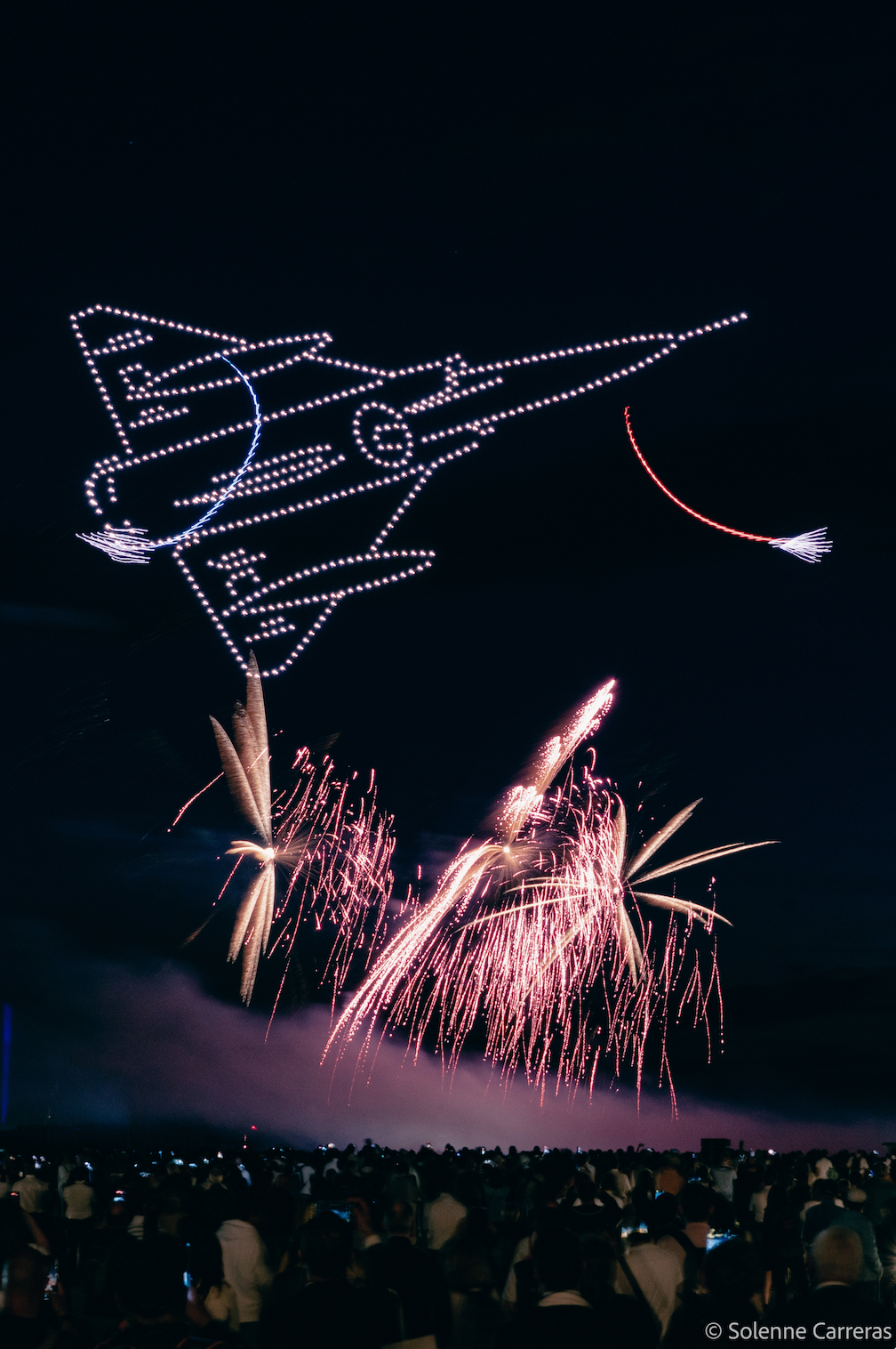 Capture d’écran 2024-06-30 à 13.28.01.png