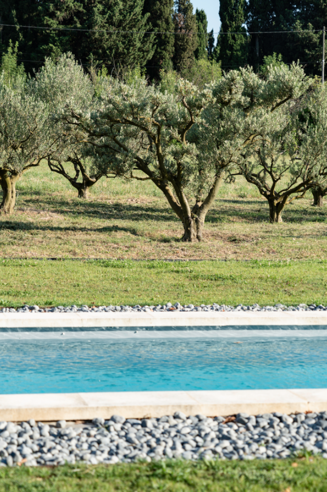 Capture d’écran 2023-01-01 à 14.37.01.png