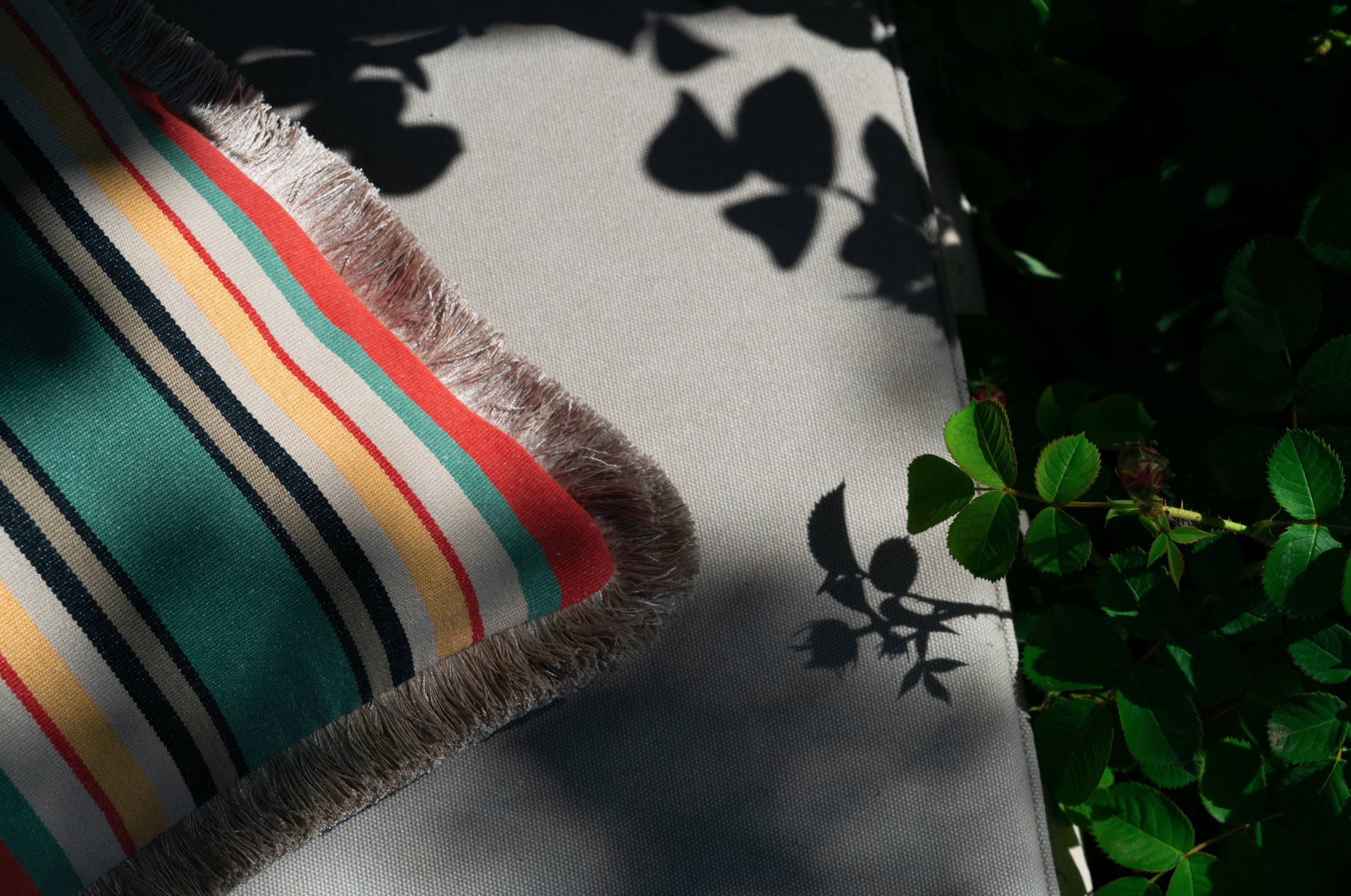 Capture d’écran 2024-04-23 à 11.11.18.png