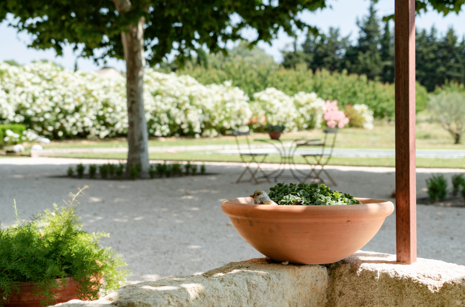 Capture d’écran 2023-01-01 à 14.37.51.png