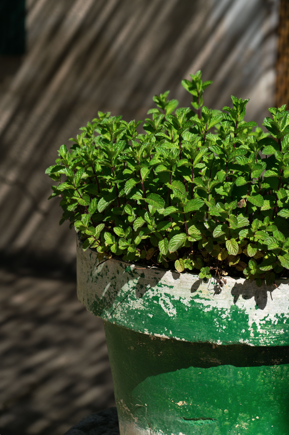 Capture d’écran 2024-04-23 à 11.46.33.png