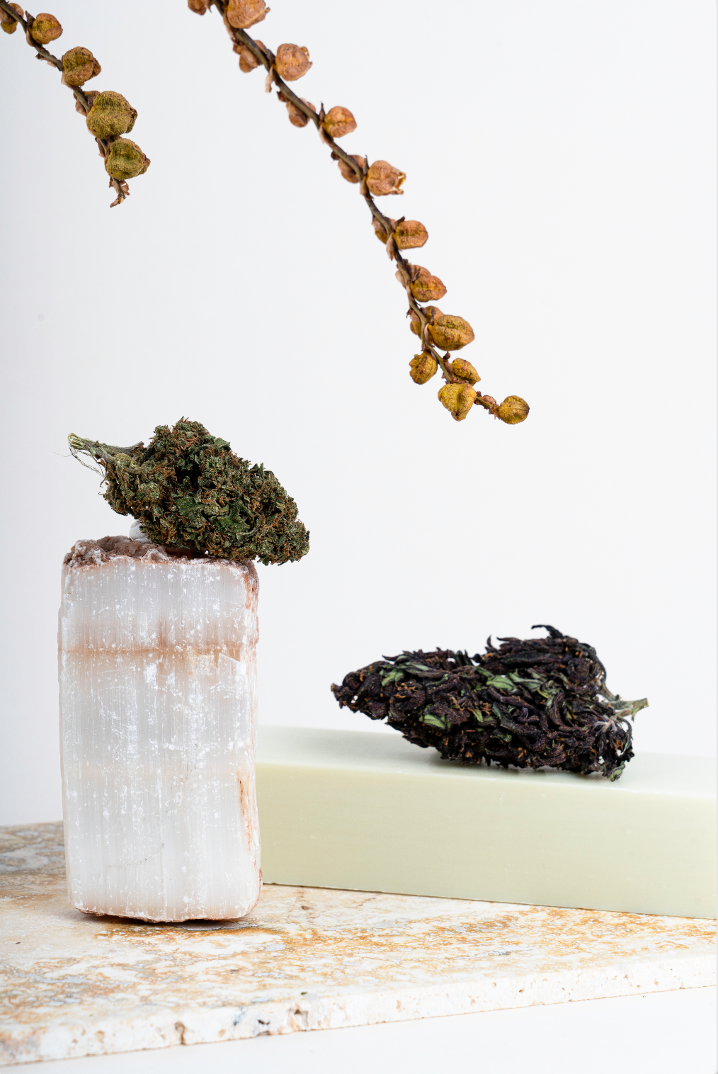 Capture d’écran 2023-06-22 à 15.33.41.png