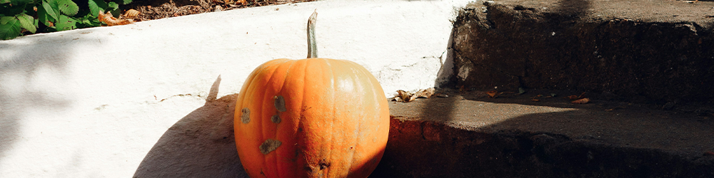 October Newsletter