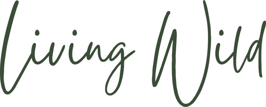 Living Wild UK Foraging Walks