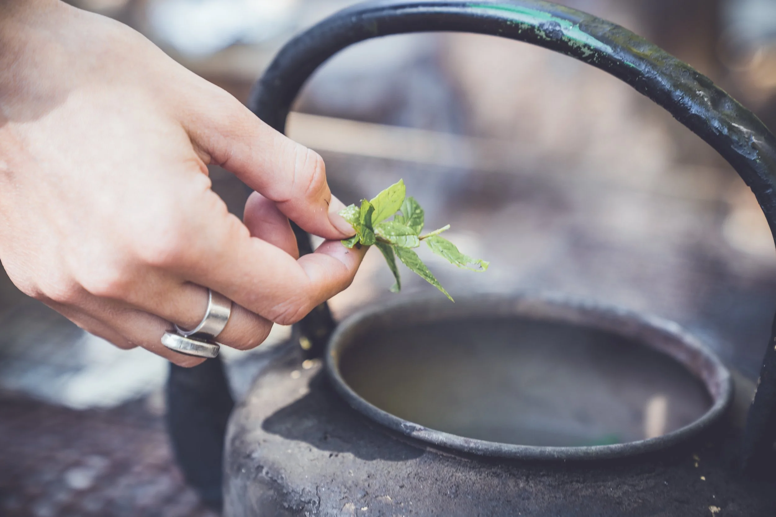 Bush Craft Workshop North Wales | Llangollen | Bush Craft Workshop ...