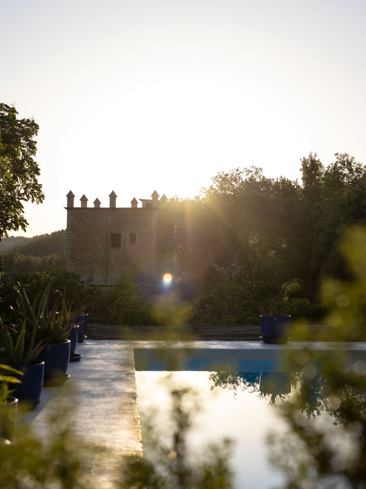 Screenshot 2026-02-16 at 15.03.06.png