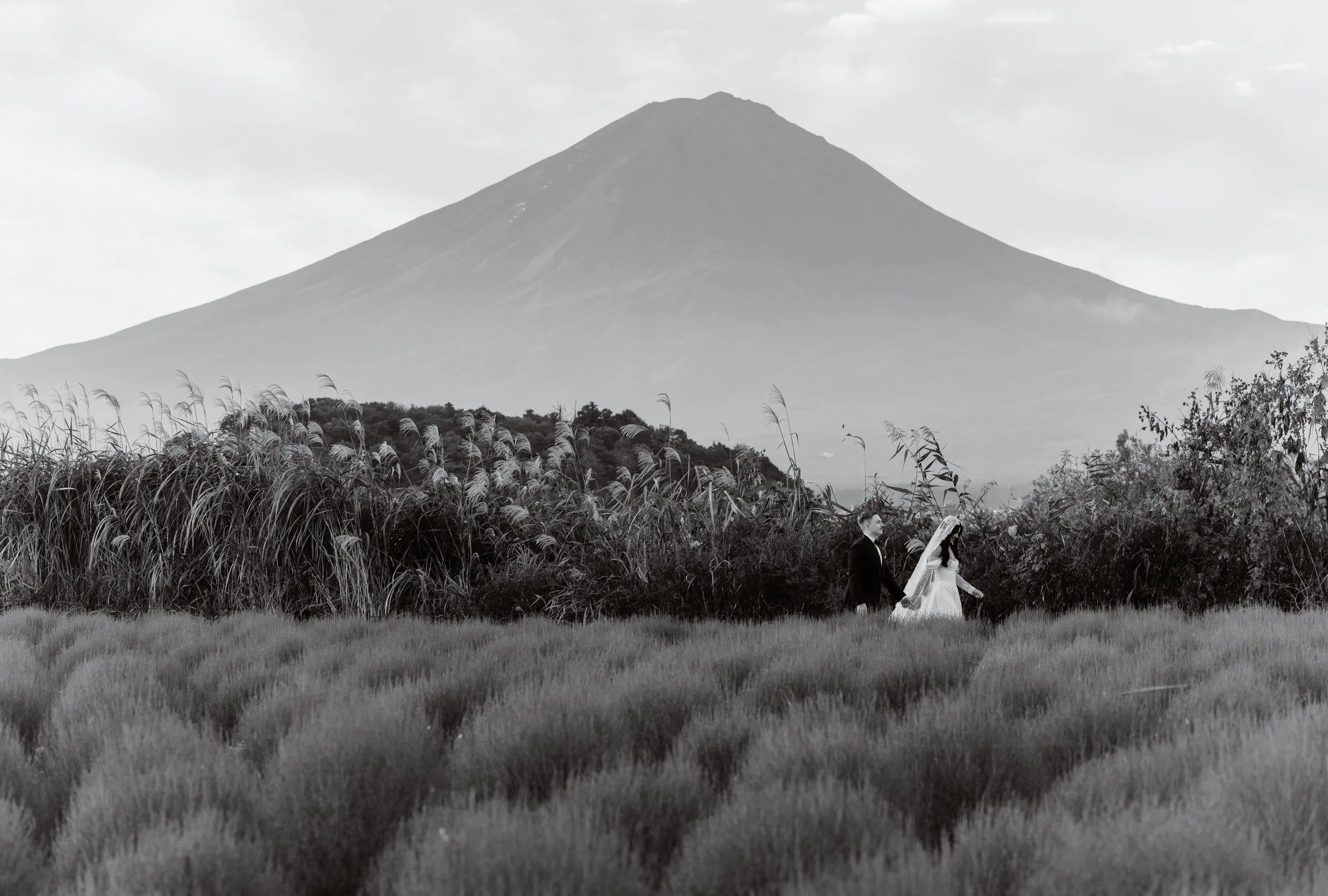 Black and white view of Mount Fuji with a couple walking through a field in the foreground
