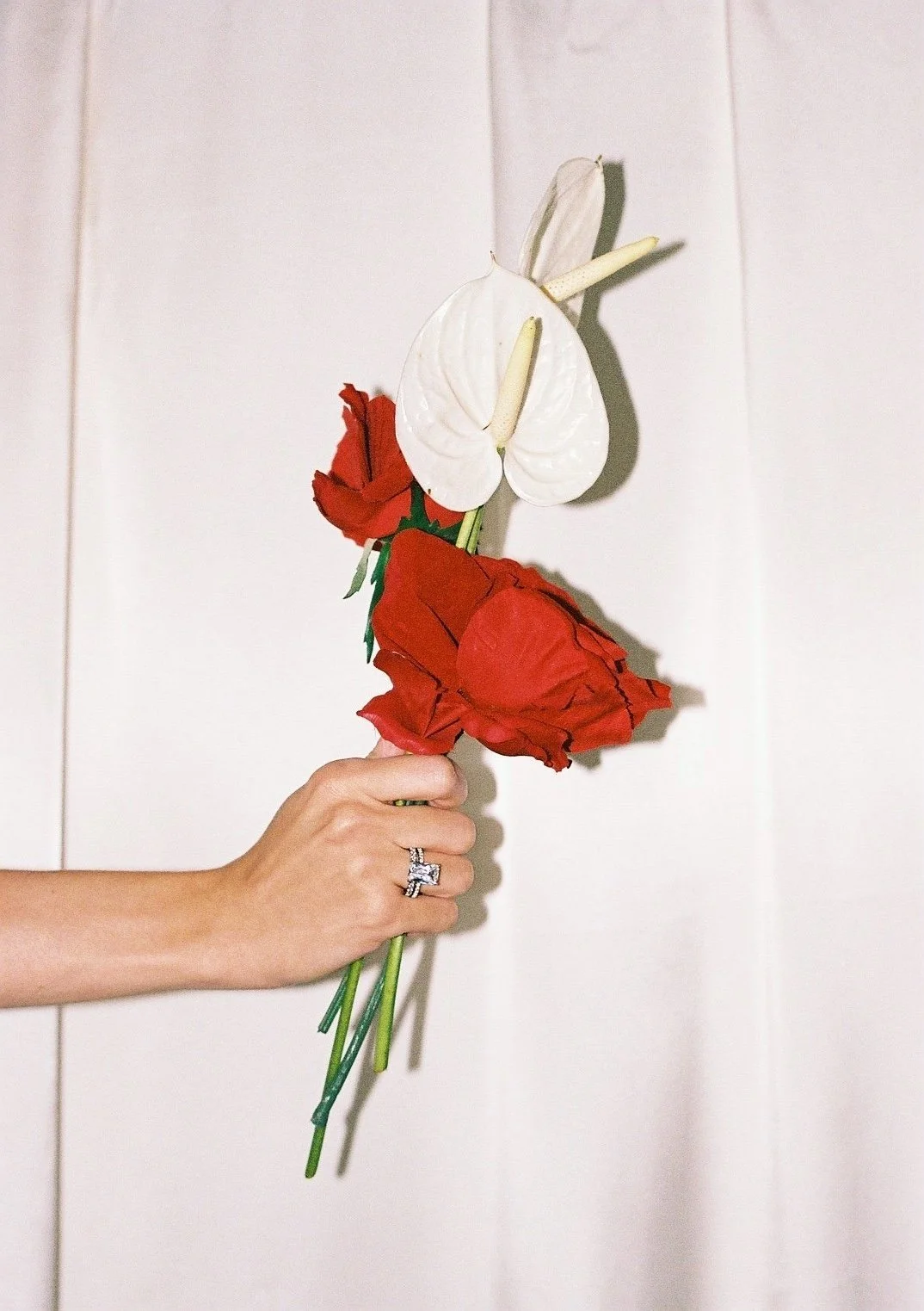 fphoto01+(2).jpg