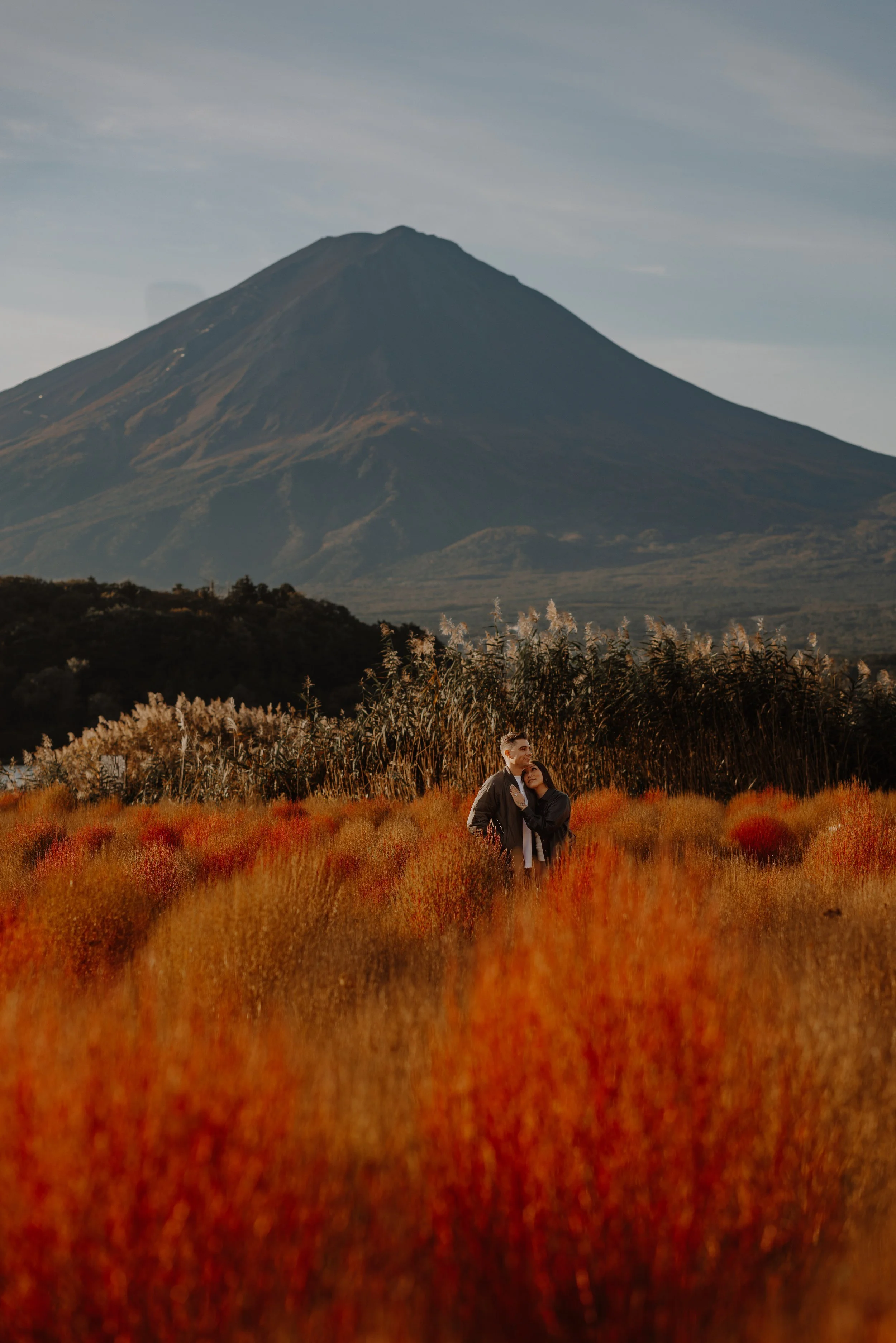 Couple embracing in a field of red kochia grass with Mount Fuji at dusk

