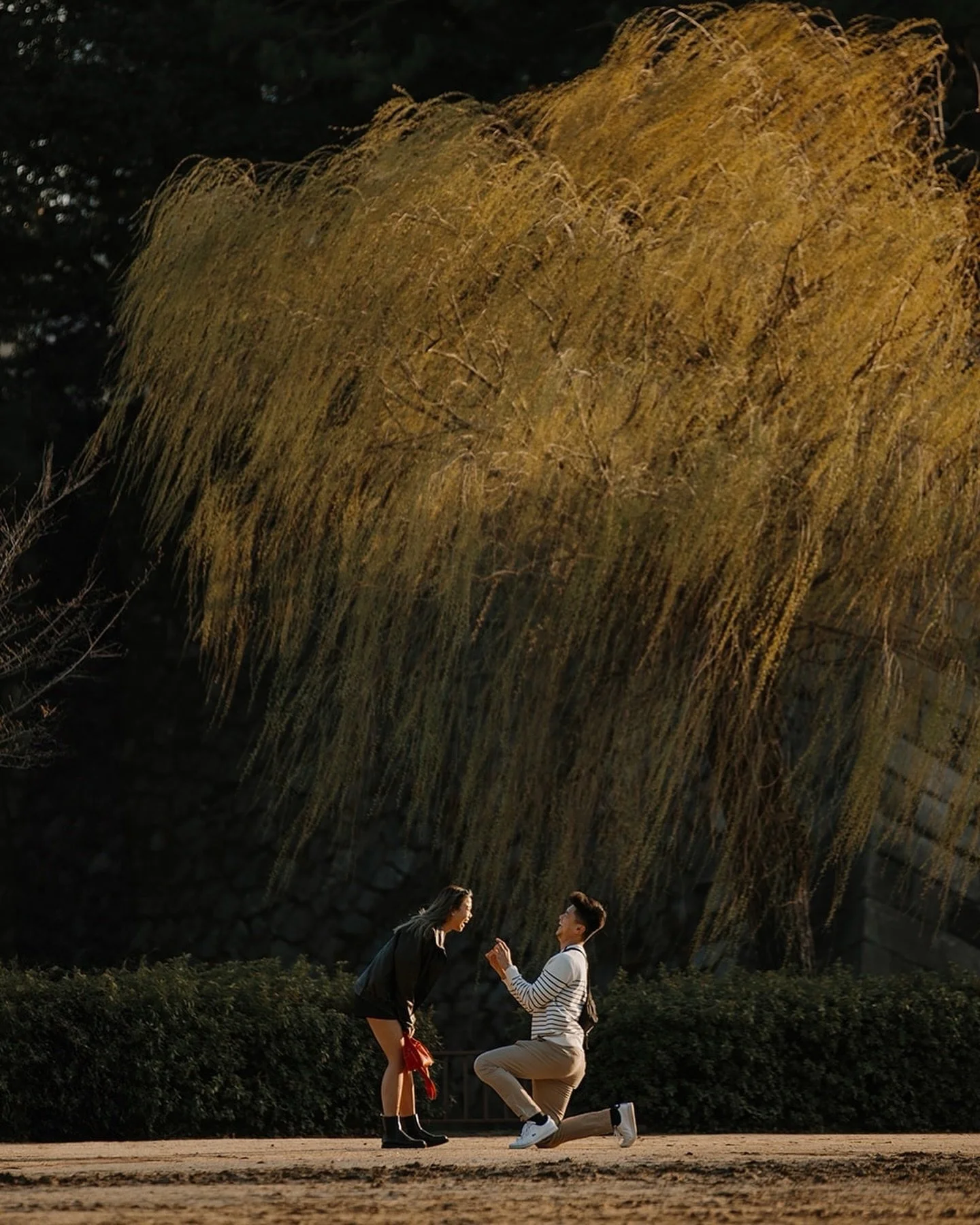Nagoya proposal photographer @sofiahiramatsu in Japan capturing this sunset surprise proposal set against one of the city&rsquo;s most iconic backdrops.

Nagoya Castle is known for its historic architecture, layered green rooftops, and wide open grou