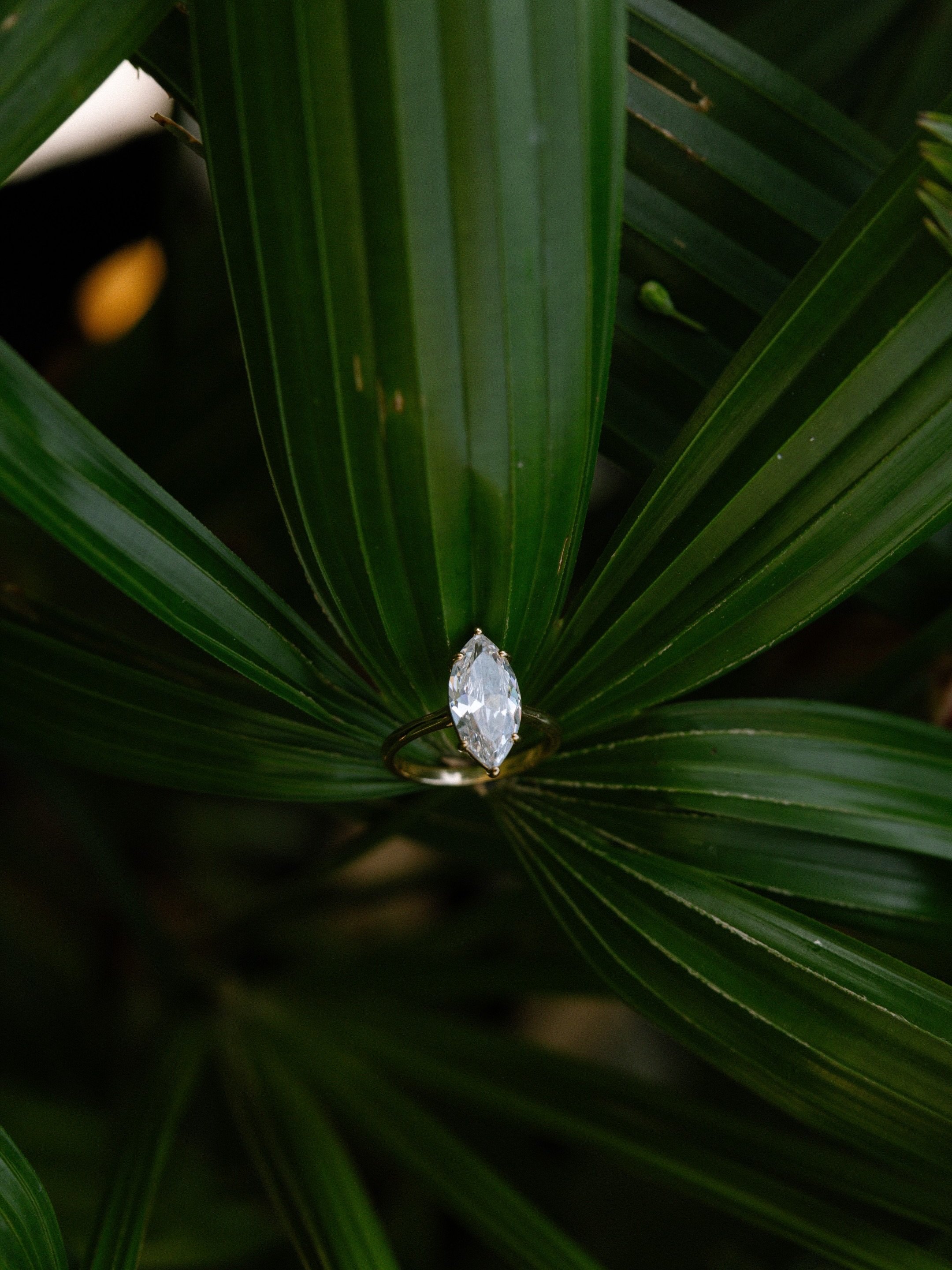 Wedding editorial photoshoot by @sofiahiramatsu in Phu Quoc Vietnam

Phu Quoc has quickly become one of the most sought after destinations for weddings in Vietnam, known for its refined coastal resorts, European inspired architecture, and lush tropic