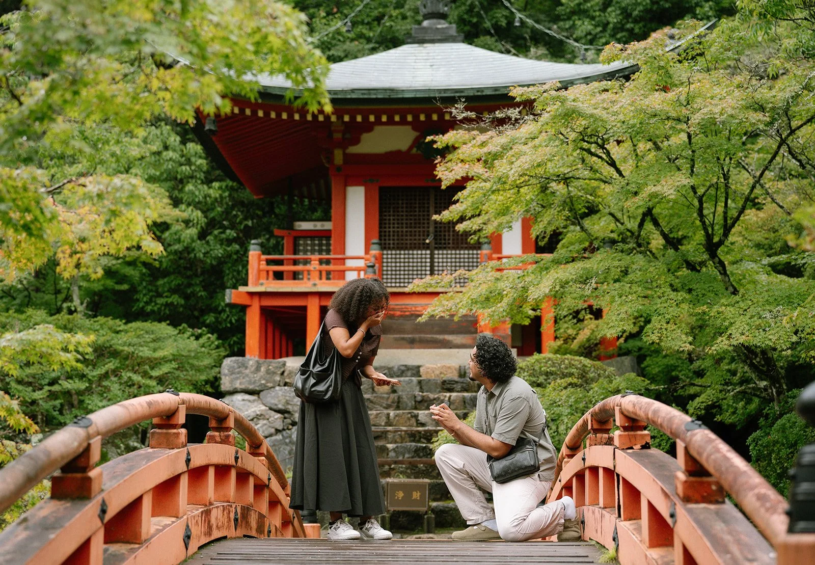 Sumeet &amp; Aimee's Surprise Proposal at Daigo-ji, Kyoto