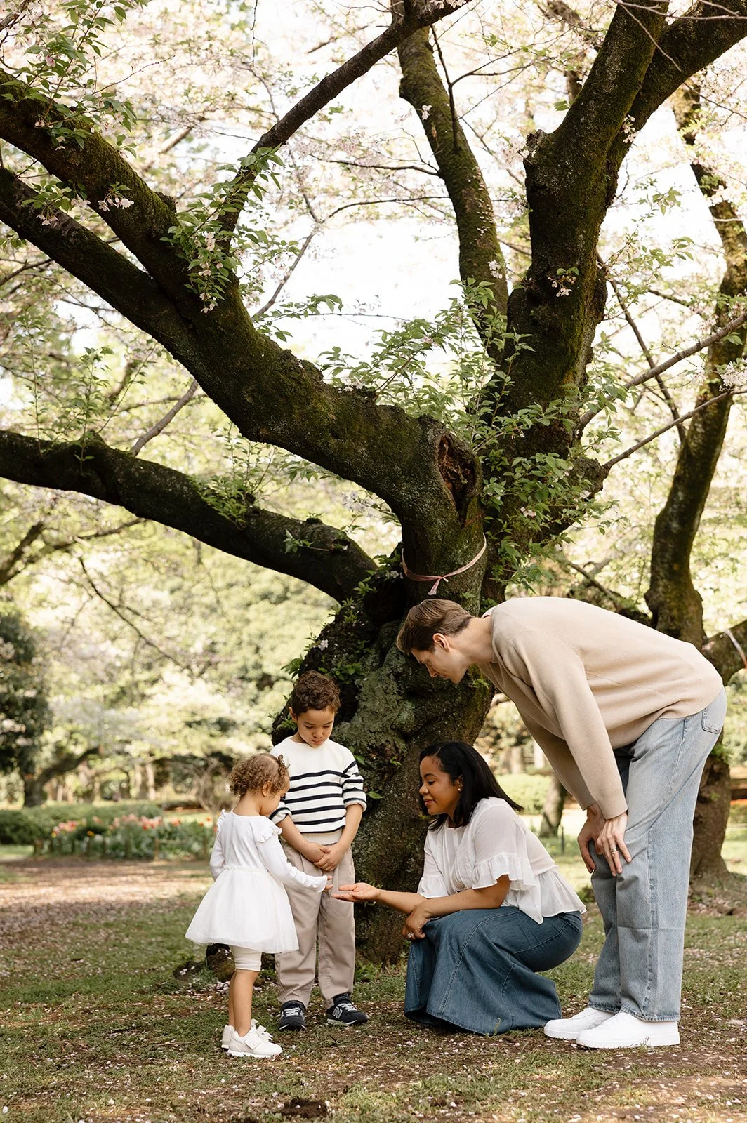tokyo-family-blossom-tree-gathered-12.jpg
