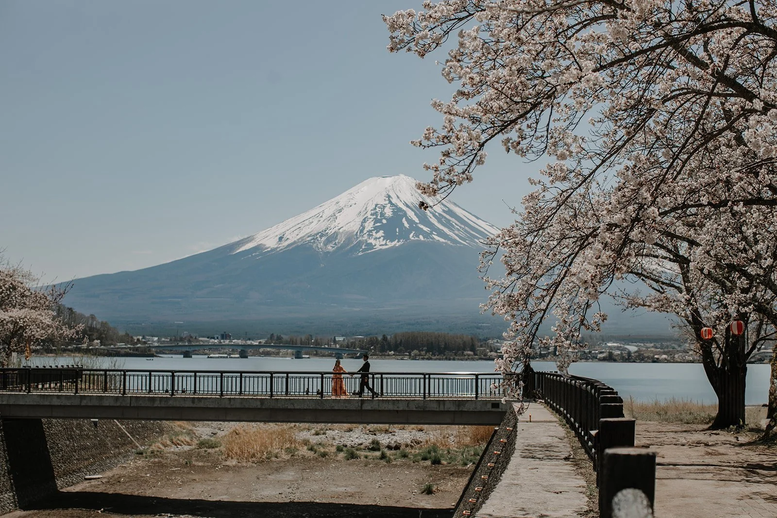 mount-fuji-spring-kawaguchiko-cherry-blossom-bridge-couple-04.jpg