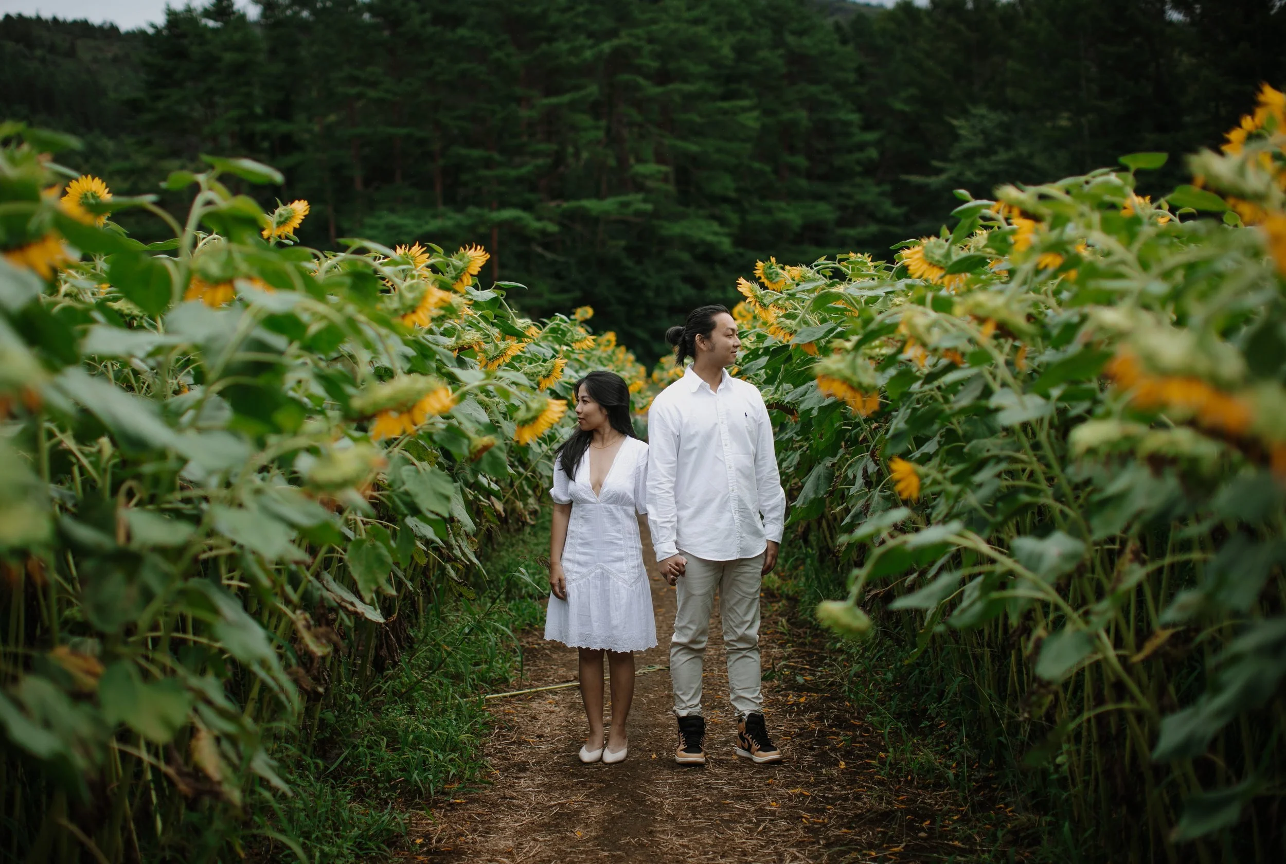 yamanaka-flower-park-sunflower-field-walk-couple-29.jpg